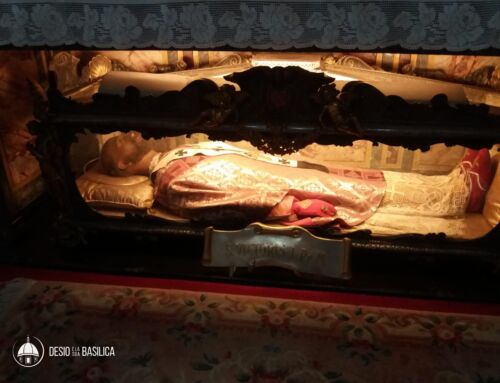 Le reliquie di San Vittore I Papa messe in vista ai fedeli nella Basilica di Desio